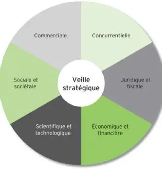 L'Axe Stratégique Caen – Rouen : Un Cœur Historique et Économique de la Normandie