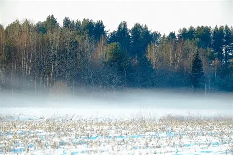 Understanding Bakersfield's Unique Weather: From Sweltering Summers to Mild Winters