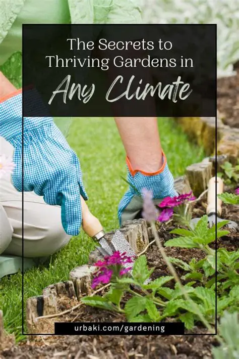 Bersemi: Unlocking the Secrets to Thriving Gardens and Vibrant Lives