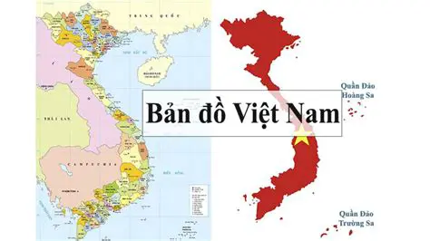 Bóng Đá: Hành Trình Vươn Tầm Toàn Cầu và Dấu Ấn Văn Hóa Việt Nam