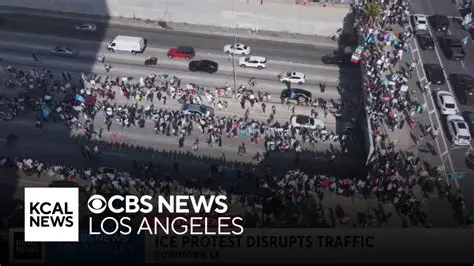 Breaking News in Los Angeles: Latest Updates and Developments