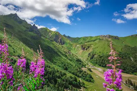 Le Cantal : Trésors Gastronomiques et Paysages Époustouflants au Cœur de l'Auvergne