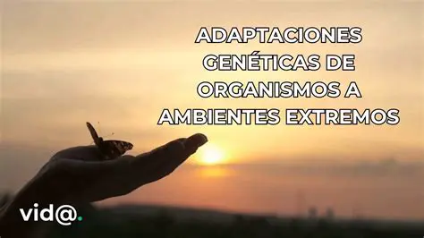 Capacidade de se adaptar a ambientes extremos