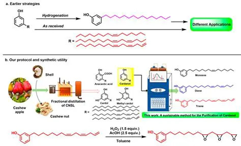 Cardanol Isolation Process