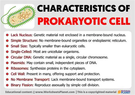 Characteristics of Prokaryotes