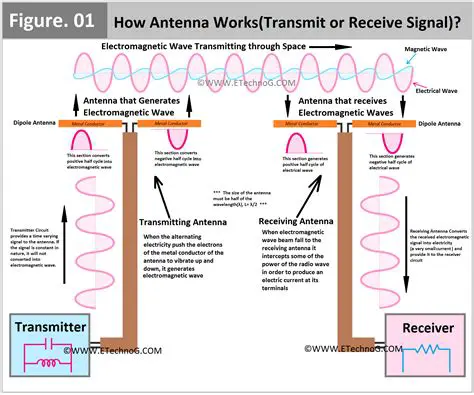 Check the TV and Radio Signals