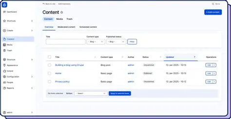 Customizable Administrative Interface