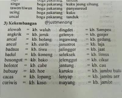 Navigating the Nuances of 'Dasi' in Sundanese: Culture, Fashion, and Language