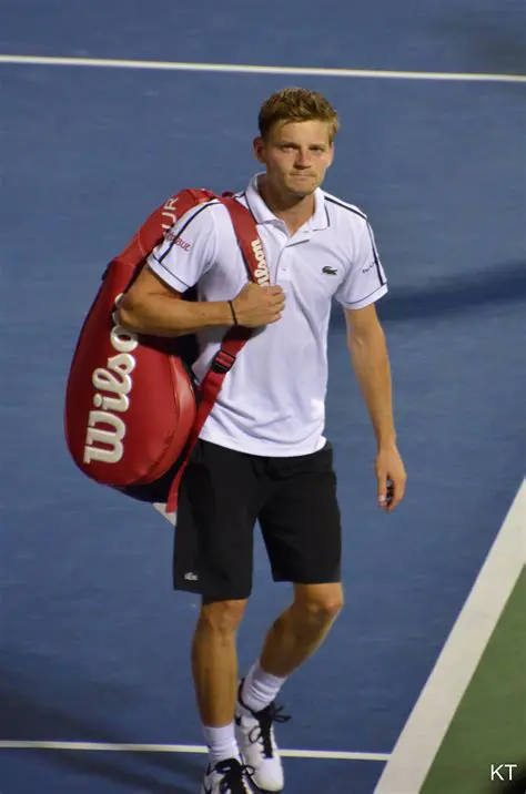 David Goffin: L'Ascensiun, E li Defis da in Tennis-Wonderkid