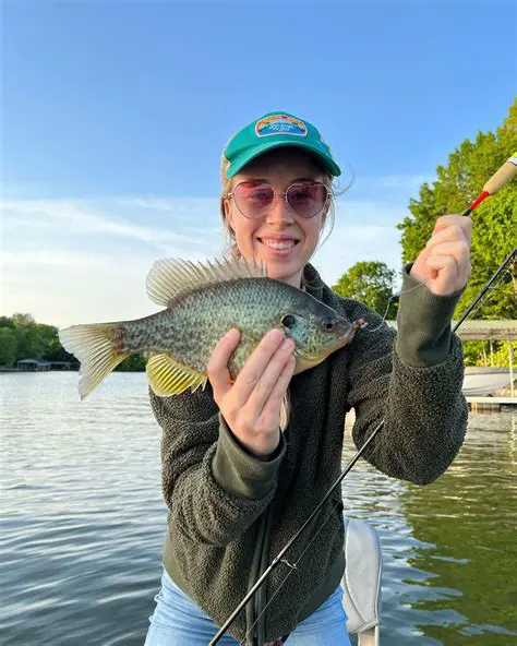 Dev Hynes Tour Dates: Exploring the Latest Updates and What to Expect