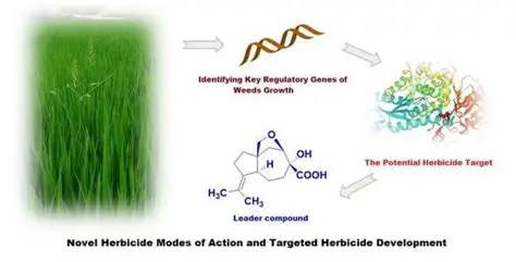Development of alternative herbicides