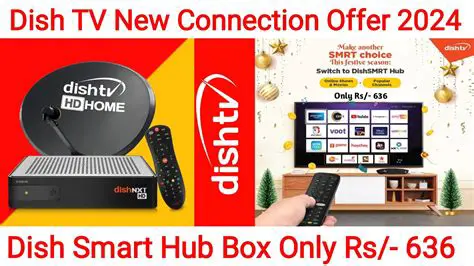 Dish TV New Connection Offer: 12-Month Channel List and Exclusive Deals