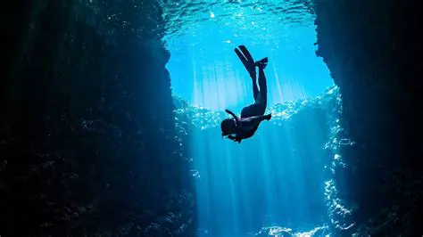 Diving Deep: Exploring the Enduring Allure and Evolution of Pools