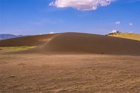 Dominion Energy: Navigating the Shifting Sands of the Energy Landscape