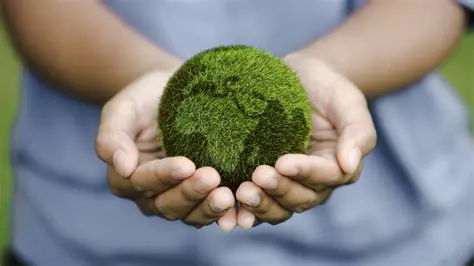 L'Écologie au Quotidien : Gestes Simples pour un Avenir Durable