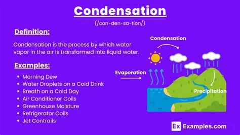 Examples of Condensation in Everyday Life