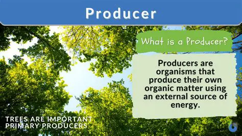 Examples of Producers in an Ecosystem