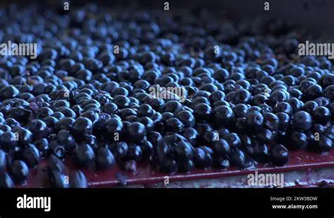 Exceptional Table Processing