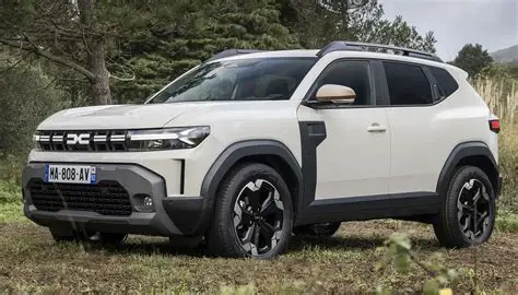 Exploring the 2018 Dacia Dokker on Avito: A Comprehensive Buyer's Guide