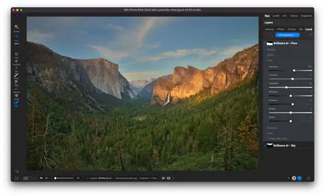 Features of the Save Video Plugin for IE