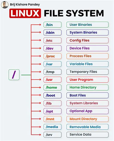 File System and Gradient Controls