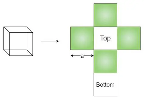Finding the Area of Each Face