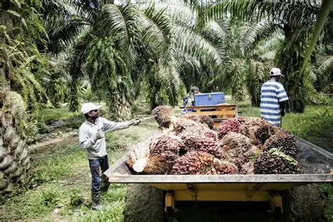 Foreign capital plantation company
