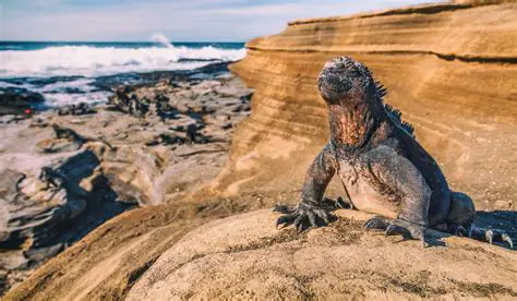 Galápagos: Eilanden van Evolutie en Ongerepte Natuur