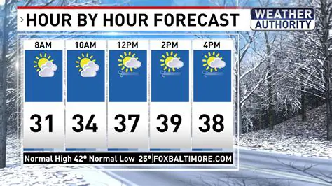 Accurate Hourly Forecast Near Me: Stay Prepared with Real-Time Weather Updates