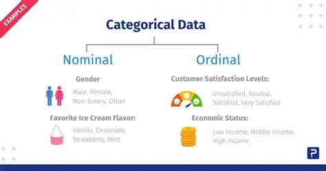 Identifying Categorical Data