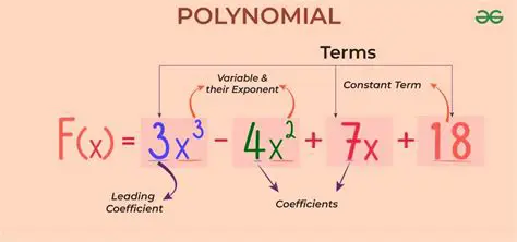 Identifying the Constant Term in the Polynomial
