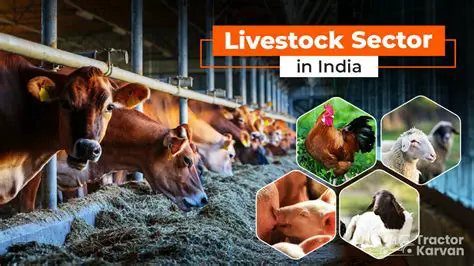 Increased investment in the livestock sector