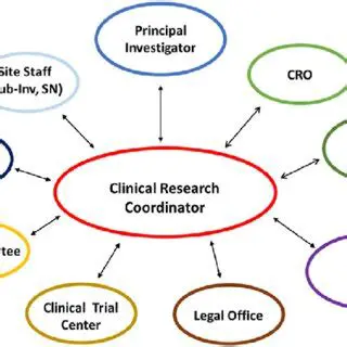 The Evolving Role of the Ion Scene Coordinator in Scientific Research