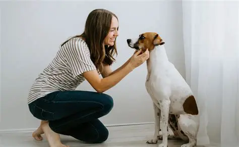 Is Dogo News Reliable? An In-Depth Look at a Popular Pet Information Source