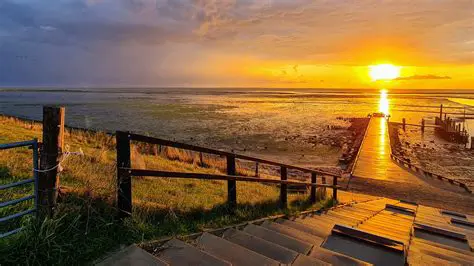 Jannik Sinner: De Opkomst van de Italiaanse Tennis Sensatie