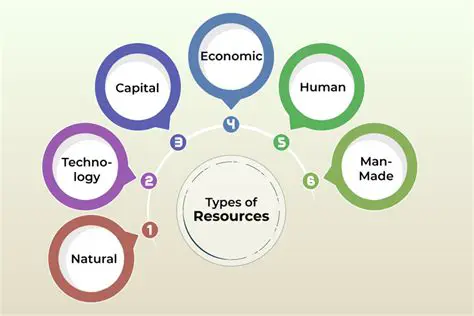 Key Aspects of Resources in the RBF