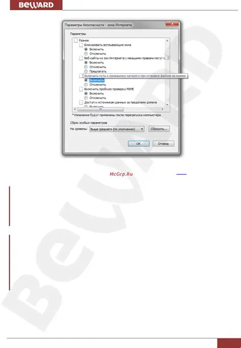 Key Features of Beward IP Visor