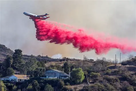 Los Angeles Fire News: Real-Time Updates and Prevention Strategies