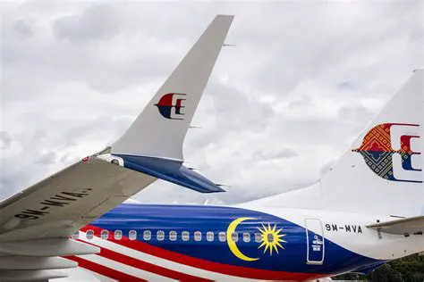 Malaysia Airlines Memes: A Humorous Take on Airline Experiences