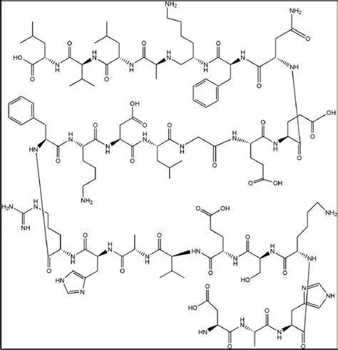 Molecular Structure of HSC