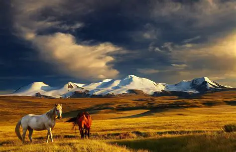 La Mongolie : Un Voyage au Cœur de l'Asie Nomade