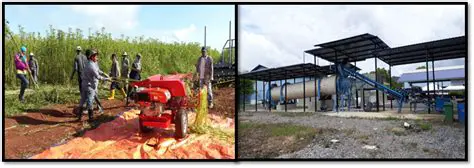 The National Kenaf and Tobacco Board Kelantan: Pioneering Sustainable Agro-Industrial Growth