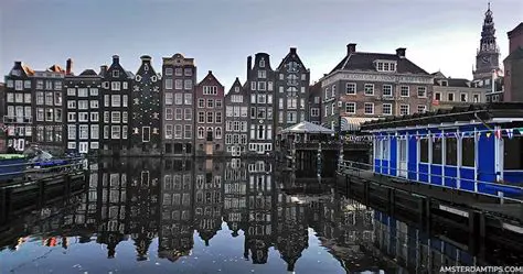 Nederland Info: Your Essential Guide to the Netherlands