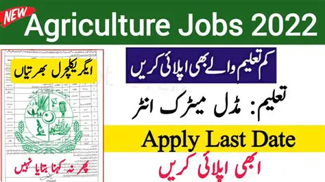 New Jobs 2022: Latest Opportunities Posted in the Last 3 Days