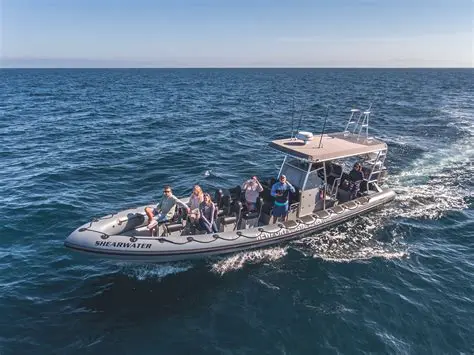 Unveiling the Newport Coastal Adventure: A Comprehensive Review