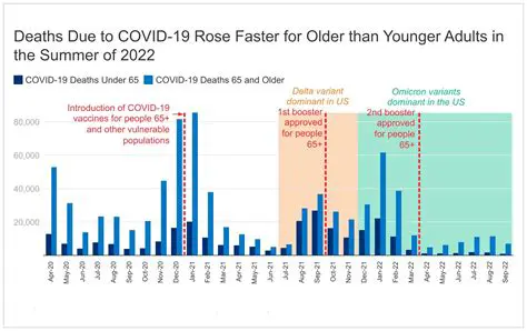 COVID-19 News and Updates: A Look Back at 2022