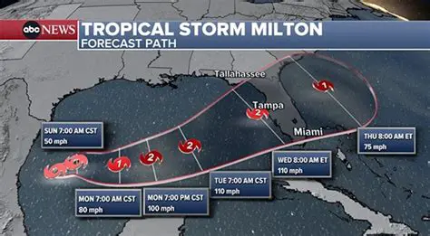 Latest News in New Milton: Keeping You Informed