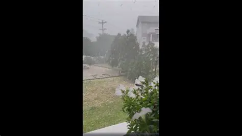 Northern Virginia Weather News: Latest Updates and Forecasts