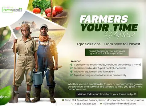 Offer essential products and services