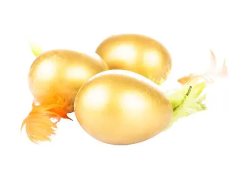 Oleo: O Tesouro Dourado na Cozinha Brasileira e Seus Múltiplos Benefícios